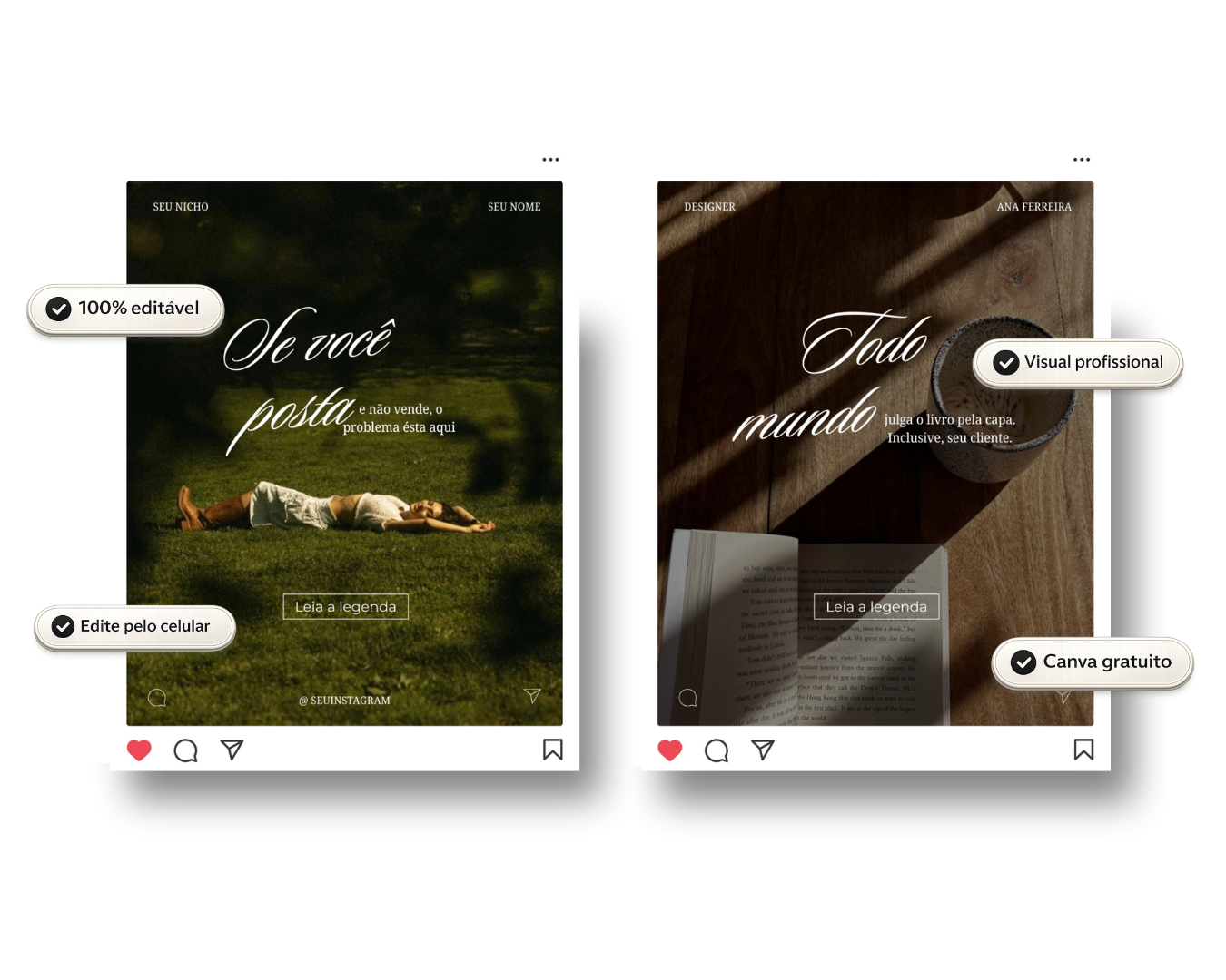 Pack de feed