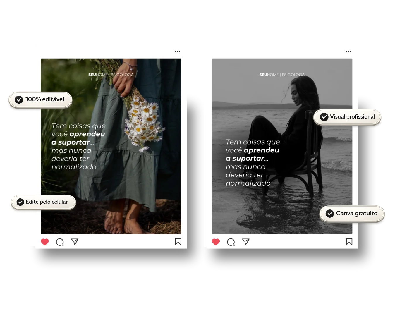 Pack de feed